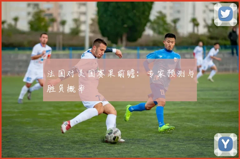 法国对美国赛果前瞻：专家预测与胜负概率